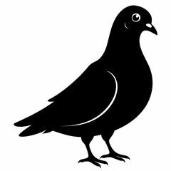 Pigeon Black silhouette