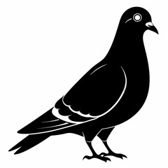 Pigeon Black silhouette