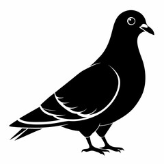 Pigeon Black silhouette