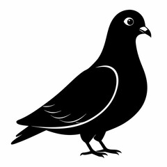 Pigeon Black silhouette