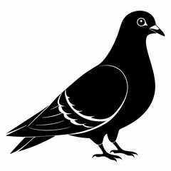 Pigeon Black silhouette