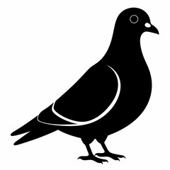 Pigeon Black silhouette