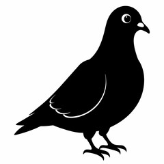 Pigeon Black silhouette