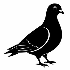 Pigeon Black silhouette