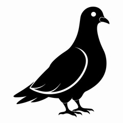 Pigeon Black silhouette