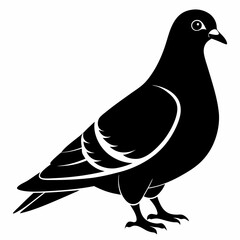 Pigeon Black silhouette