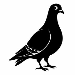 Pigeon Black silhouette