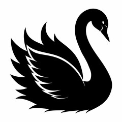 Fototapeta premium Swan Black silhouette