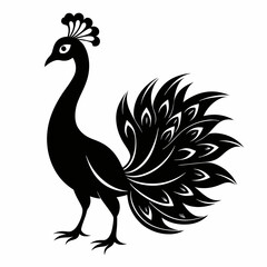 Peacock Black silhouette