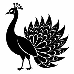 Peacock Black silhouette