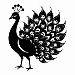 Fototapeta premium Peacock Black silhouette