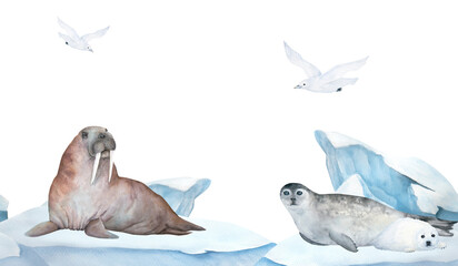 Obraz premium Seamless frame of banner with walrus, seal and seagull watercolor illustration on ice , iceberg on background. Horizontal format, for children wallpaper and room decor