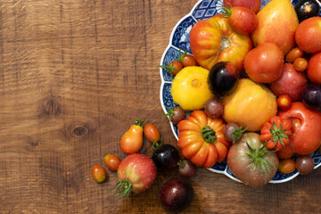 Many garden tomatoes in different colors, shapes and varieties on a blue rustic plate on a wooden table. Tomatoe composition with space for text.