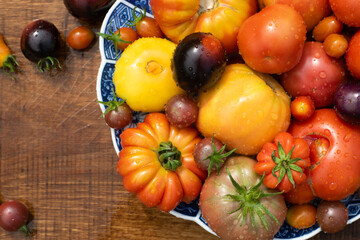Many garden tomatoes in different colors, shapes and varieties on a blue rustic plate on a wooden table. Tomatoe composition with space for text.