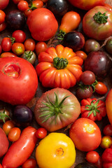 top view tomatoes in many shapes, sizes and colors  on wooden background. Home greenhouse grown vegetables full of different flavours.