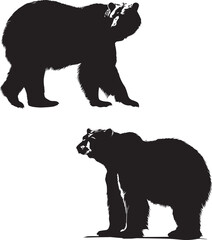 Silhouette of a Polar Bear