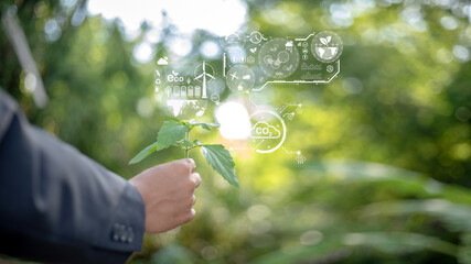 A person holding a leaf in a forest with a green background
