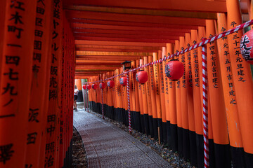 Torii gates at Fushimi Inari-Taisha sanctuary,Kyoto, Japan