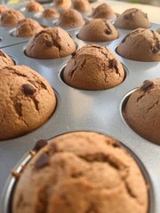 Freshly baked muffins on the table.