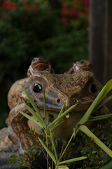 Japanese from statue in shrine 
