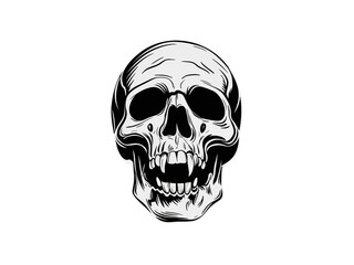 Fototapeta premium Human skull illustration Monochrome