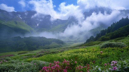 山頂からの山の風景、自然10