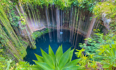 Ik-Kil Cenote - Lovely cenote in Yucatan Peninsulla with transparent waters and hanging roots....