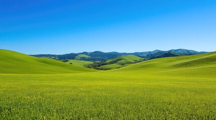 Fototapeta premium Rolling hills and a clear blue sky create a tranquil countryside scene, perfect for themes of peace and natural beauty.