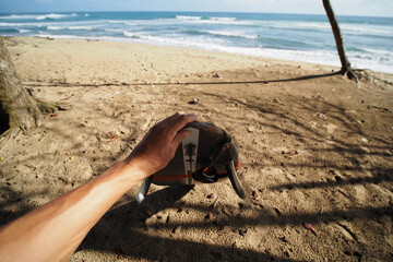 POV. Surfer holding black surfboard on shore, ready to surfing. 