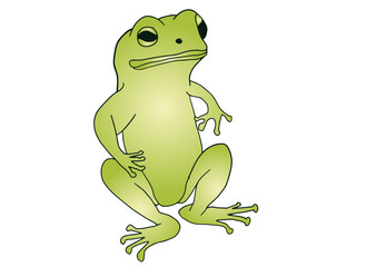 sitting green frog illustration