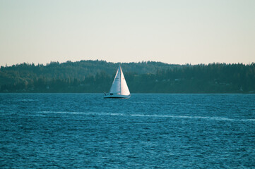 sailboat on the sea