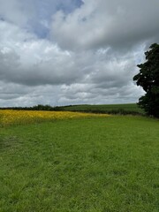 field and blue sky