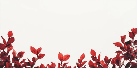 A simple yet striking image of red leaves floating against a bright white sky, suitable for use in designs related to fall or autumn themes