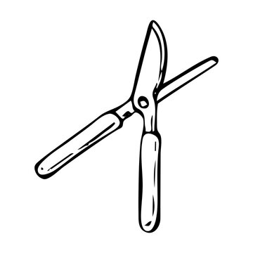 recommend clip art: Garden tool pruner hand drawn in doodle style. Hobby gardening. Pruning branches. Trimming trees. Vector line art illustration.