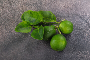 Fresh juicy ripe green lime