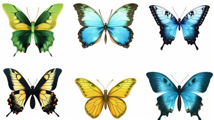 set of colorful butterflies isolated on white background