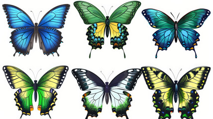 set of colorful butterflies isolated on white background