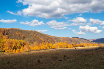 Golden autumn hills. Sunny weather with beautiful clouds.