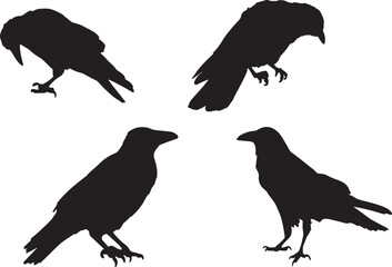 Birds Vector Silhouette Images 