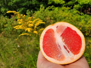 One juicy grapefruit for tropical taste.