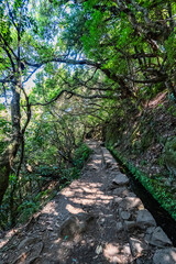 PR9 Levada do Caldeirão Verde - Madeira