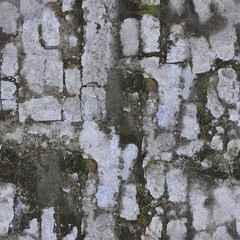 Textura tileable de suelo natural