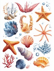Watercolor Illustration of Sea Life