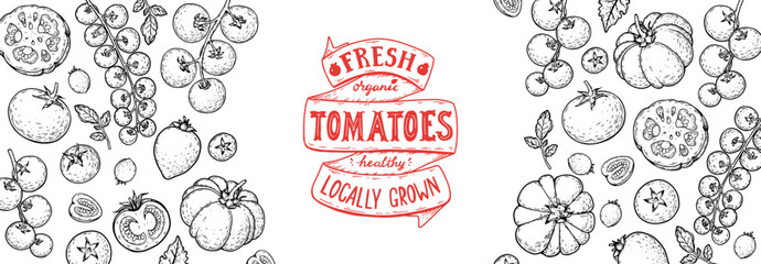 Tomatoes frame. Hand drawn illustration. Tomato vegetable sketch. Organic tomato design template. Vector illustration. Package design elements.