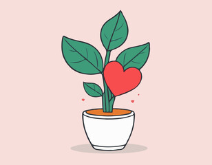 Heart Plant in Pot