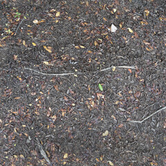 Raiz y tierra con algunas piedras textura tileable