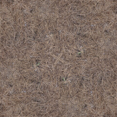 Aciculas de pino textura tileable