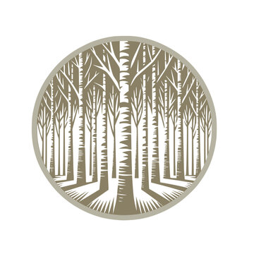 Vector illustration of birch trees in the woods, with clean lines and simple shapes, perfect for use as an emblem or logo.