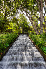 Obraz premium Tropischer Garten Monte Palace - Madeira