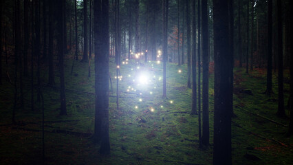 Fototapeta premium Fantasy dark dimmed forest with glowing light energy and fireflies. 